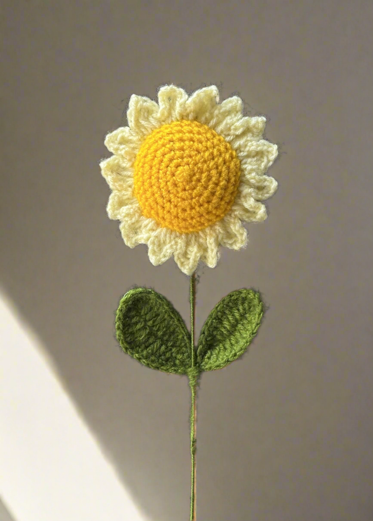 Crochet Daisy