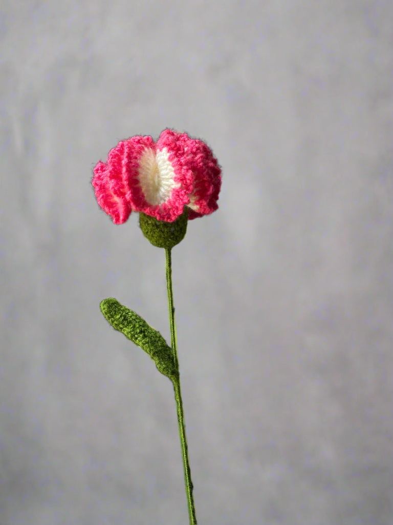 Bi Colour Crochet Carnation | Handmade Floral Gift | Forever Flower (Handmade)