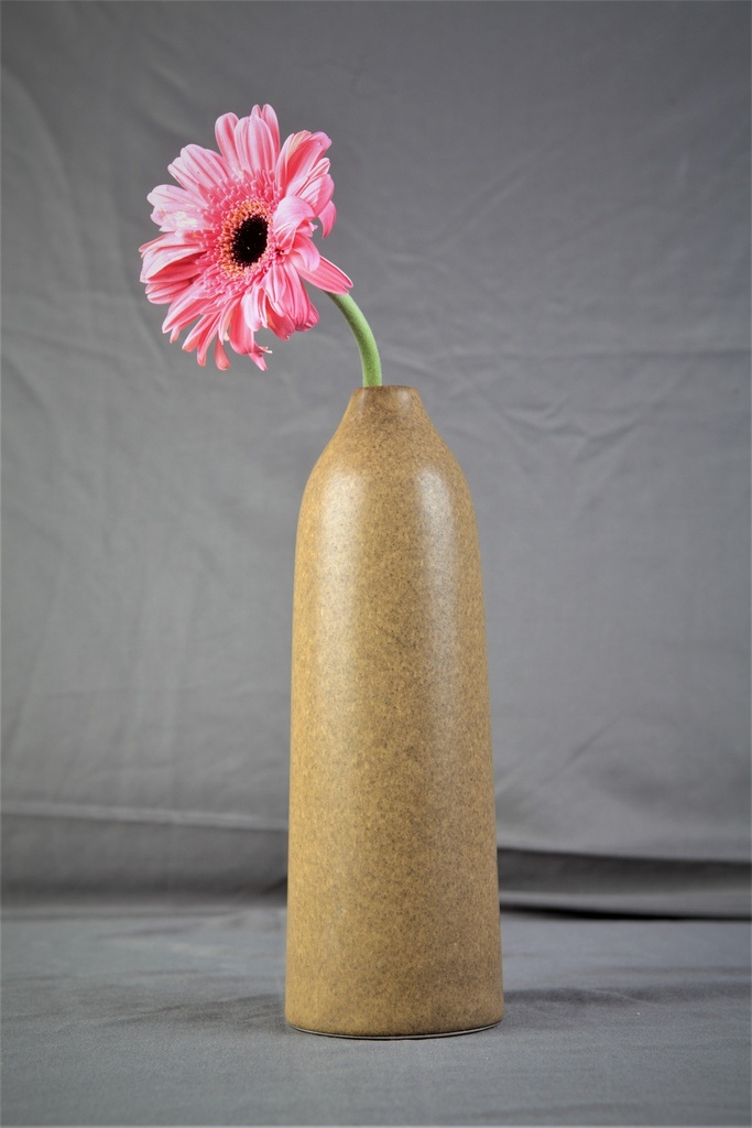[7356835102808] Earthy Tall Vase