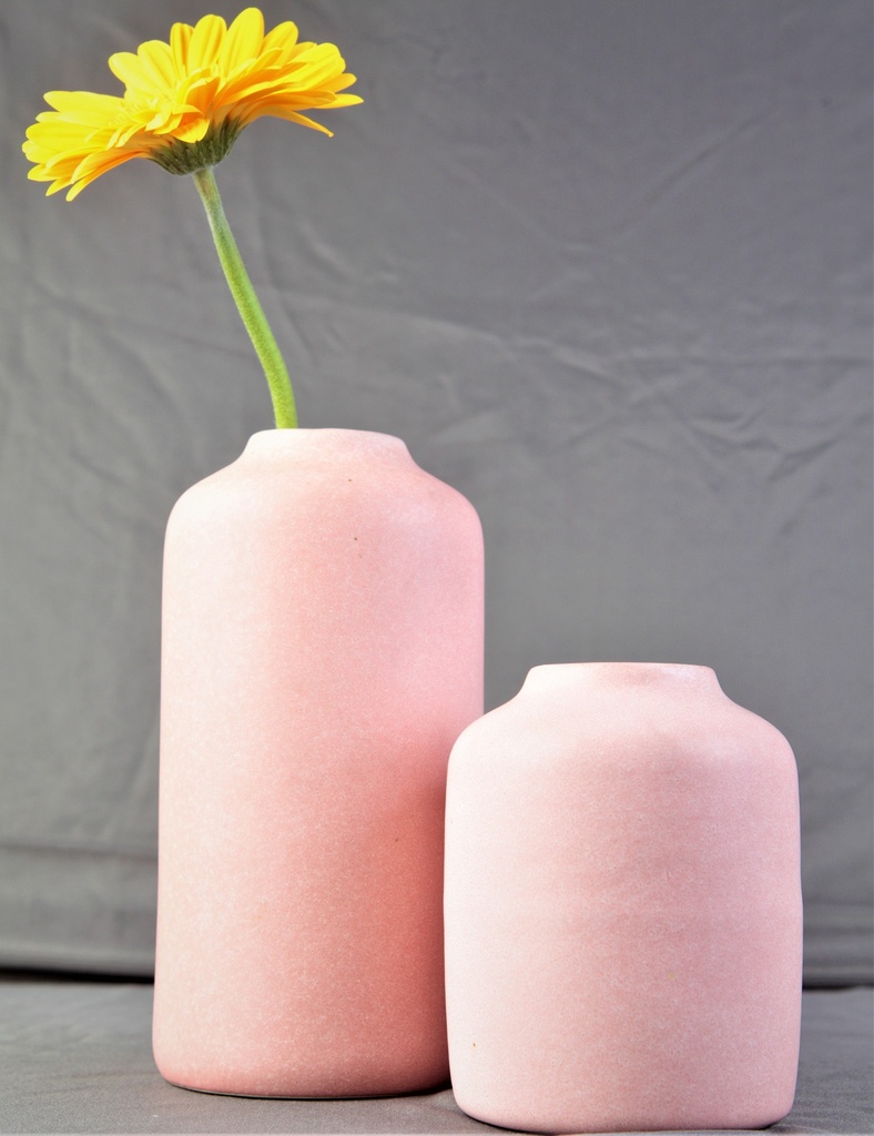 Pink Ceramic Vase Combo I